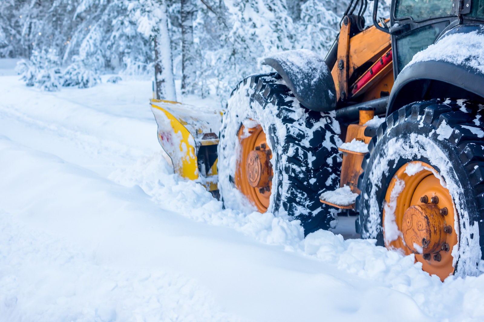 Traktori auraa lumista metsätietä terävällä auran terällä