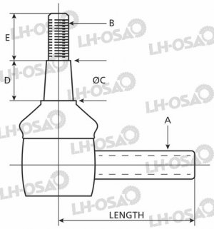 RAIDETANGONPÄÄ, OIKEA